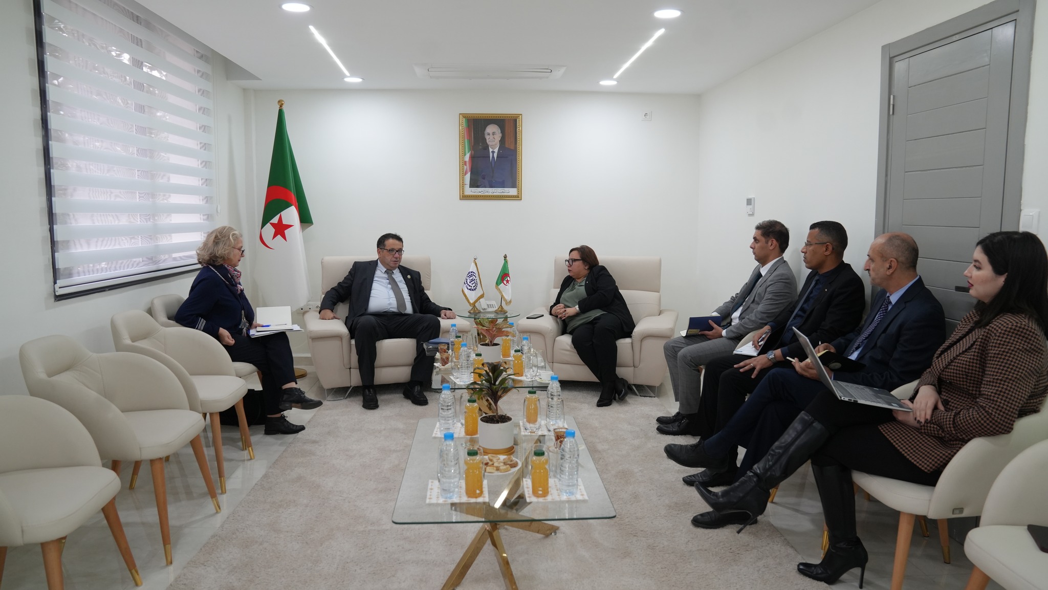 Read more about the article بحث آفاق التعاون مع منظمة العمل الدولية لدعم الإدماج المهني